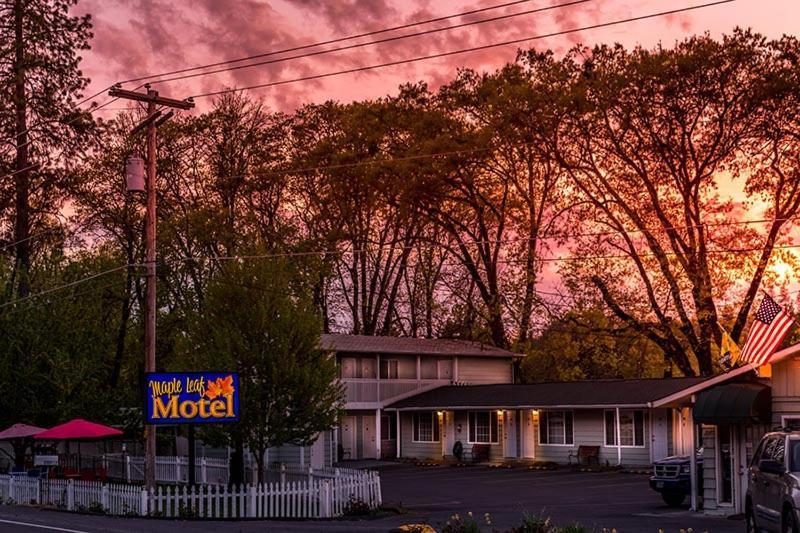 Maple Leaf Motel Shady Cove Eksteriør billede